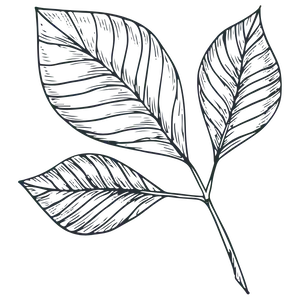 Impact-eco-10